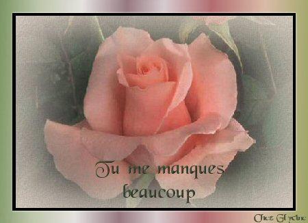 tu me manquesboq mon amour